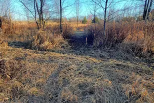 7596 2 1/2 Mile Rd, East Leroy, MI 49051 - Photo 17