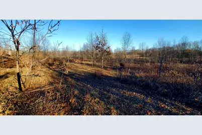 7596 2 1/2 Mile Road, East Leroy, MI 49051 - Photo 15