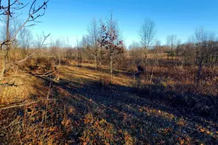 7596 2 1/2 Mile Rd, East Leroy, MI 49051 - Photo 15