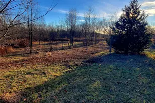 7596 2 1/2 Mile Rd, East Leroy, MI 49051 - Photo 11