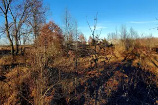 7596 2 1/2 Mile Rd, East Leroy, MI 49051 - Photo 19