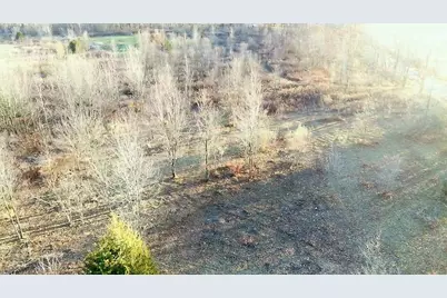 7596 2 1/2 Mile Road, East Leroy, MI 49051 - Photo 29