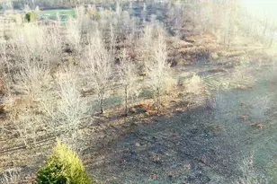 7596 2 1/2 Mile Rd, East Leroy, MI 49051 - Photo 29