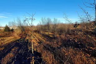 7596 2 1/2 Mile Rd, East Leroy, MI 49051 - Photo 21