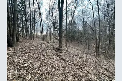 V/L S Beaune Road, Ludington, MI 49431 - Photo 9