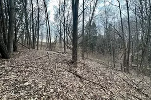 V/L S Beaune Rd, Ludington, MI 49431 - Photo 9