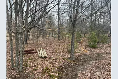 Quarter Line Rd, Manistee, MI 49660 - Photo 7