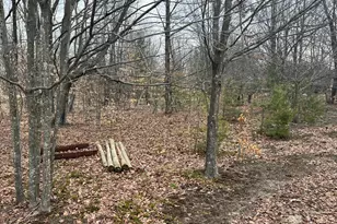 Quarter Line Rd, Manistee, MI 49660 - Photo 7