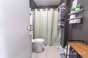 163 S York St, Belding, MI 48809 - Photo 13