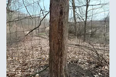 Hayward Road, Delton, MI 49046 - Photo 33