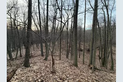 Hayward Road, Delton, MI 49046 - Photo 41