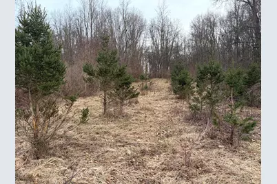 Hayward Road, Delton, MI 49046 - Photo 27