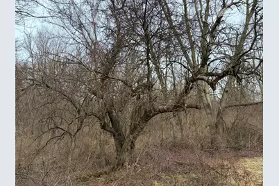 Hayward Road, Delton, MI 49046 - Photo 19