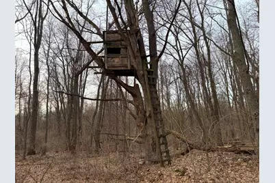 Hayward Road, Delton, MI 49046 - Photo 31