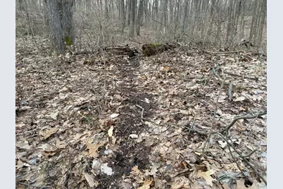 Hayward Road, Delton, MI 49046 - Photo 45