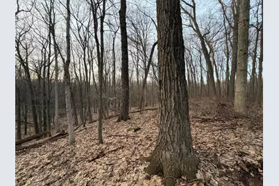 Hayward Road, Delton, MI 49046 - Photo 39