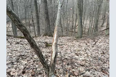 Hayward Road, Delton, MI 49046 - Photo 43