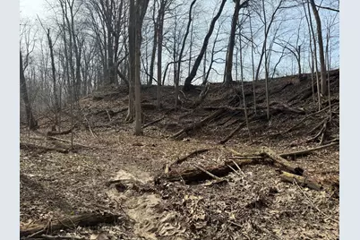 County Road 376, Bangor, MI 49013 - Photo 37