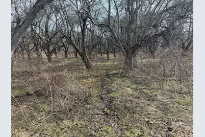 County Road 376, Bangor, MI 49013 - Photo 53