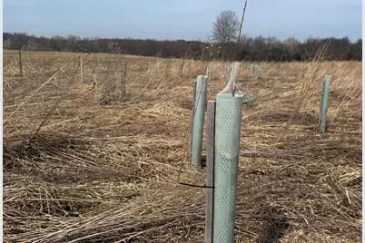 County Road 376, Bangor, MI 49013 - Photo 65