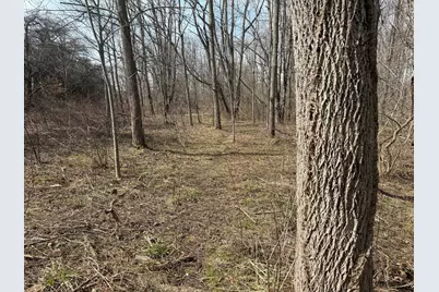 County Road 376, Bangor, MI 49013 - Photo 49