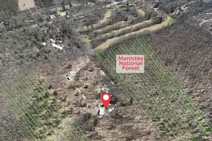 460 Seaman Rd, Wellston, MI 49689 - Photo 3