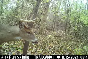 27 C Dr N, Albion, MI 49224 - Photo 1