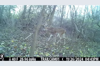 27 C Drive N, Albion, MI 49224 - Photo 5