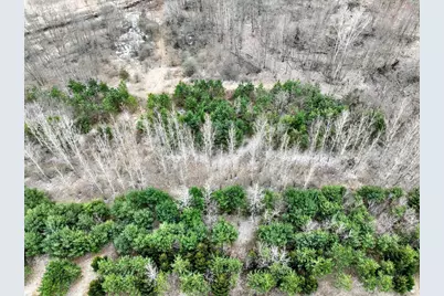 Vl Messenger Highway, Olivet, MI 49076 - Photo 31