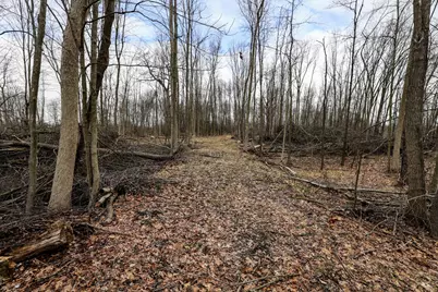 Vl Messenger Highway, Olivet, MI 49076 - Photo 17