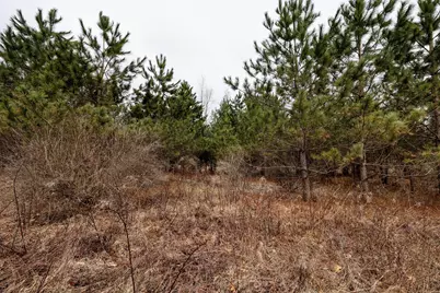 Vl Messenger Highway, Olivet, MI 49076 - Photo 7