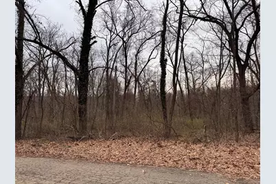 Lakeview Drive, Dowagiac, MI 49047 - Photo 1