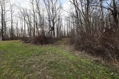 Vl W Glendora Road, Buchanan, MI 49107 - Photo 29