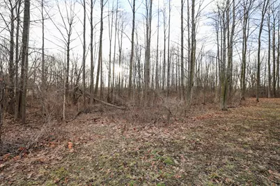 Vl W Glendora Road, Buchanan, MI 49107 - Photo 35