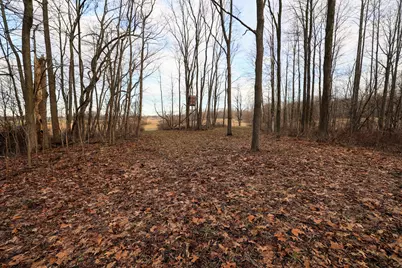 Vl W Glendora Road, Buchanan, MI 49107 - Photo 15