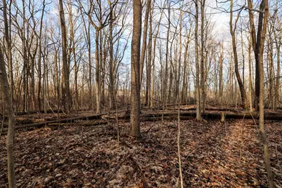 Vl W Glendora Road, Buchanan, MI 49107 - Photo 47