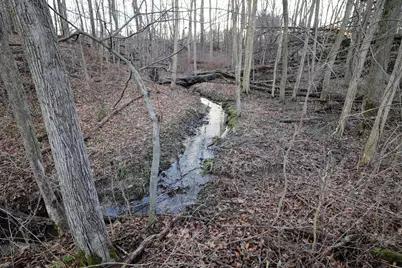 Vl W Glendora Road, Buchanan, MI 49107 - Photo 3