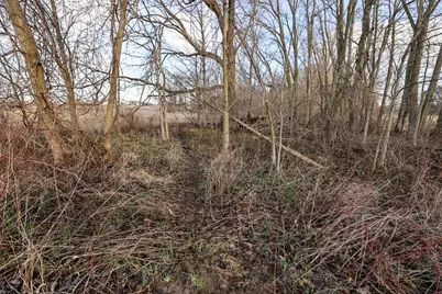 Vl W Glendora Road, Buchanan, MI 49107 - Photo 7