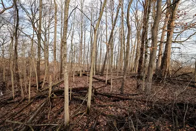 Vl W Glendora Road, Buchanan, MI 49107 - Photo 21