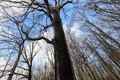 Vl W Glendora Road, Buchanan, MI 49107 - Photo 51