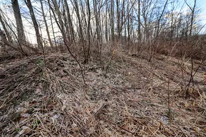 Vl W Glendora Road, Buchanan, MI 49107 - Photo 17
