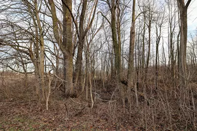 Vl W Glendora Road, Buchanan, MI 49107 - Photo 29