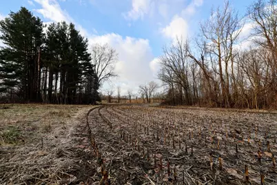 Vl W Glendora Road, Buchanan, MI 49107 - Photo 1