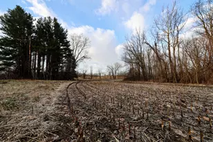 Vl W Glendora Rd, Buchanan, MI 49107 - Photo 1