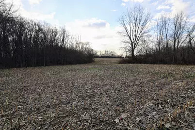 Vl W Glendora Road, Buchanan, MI 49107 - Photo 11