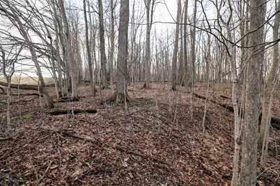 Vl W Glendora Road, Buchanan, MI 49107 - Photo 45