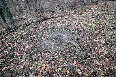 Vl W Glendora Road, Buchanan, MI 49107 - Photo 37