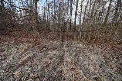 Vl W Glendora Road, Buchanan, MI 49107 - Photo 19