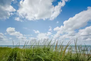 9949 Townline Rd, Union Pier, MI 49129 - Photo 57