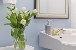 9949 Townline Rd, Union Pier, MI 49129 - Photo 35